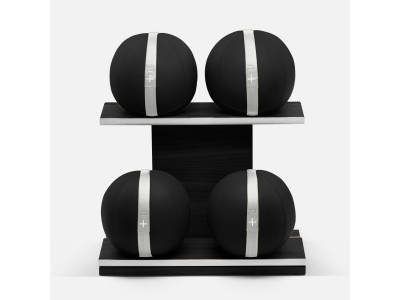 MOXA Set - Leather Medicine Ball Vertical Wooden Stand | Power